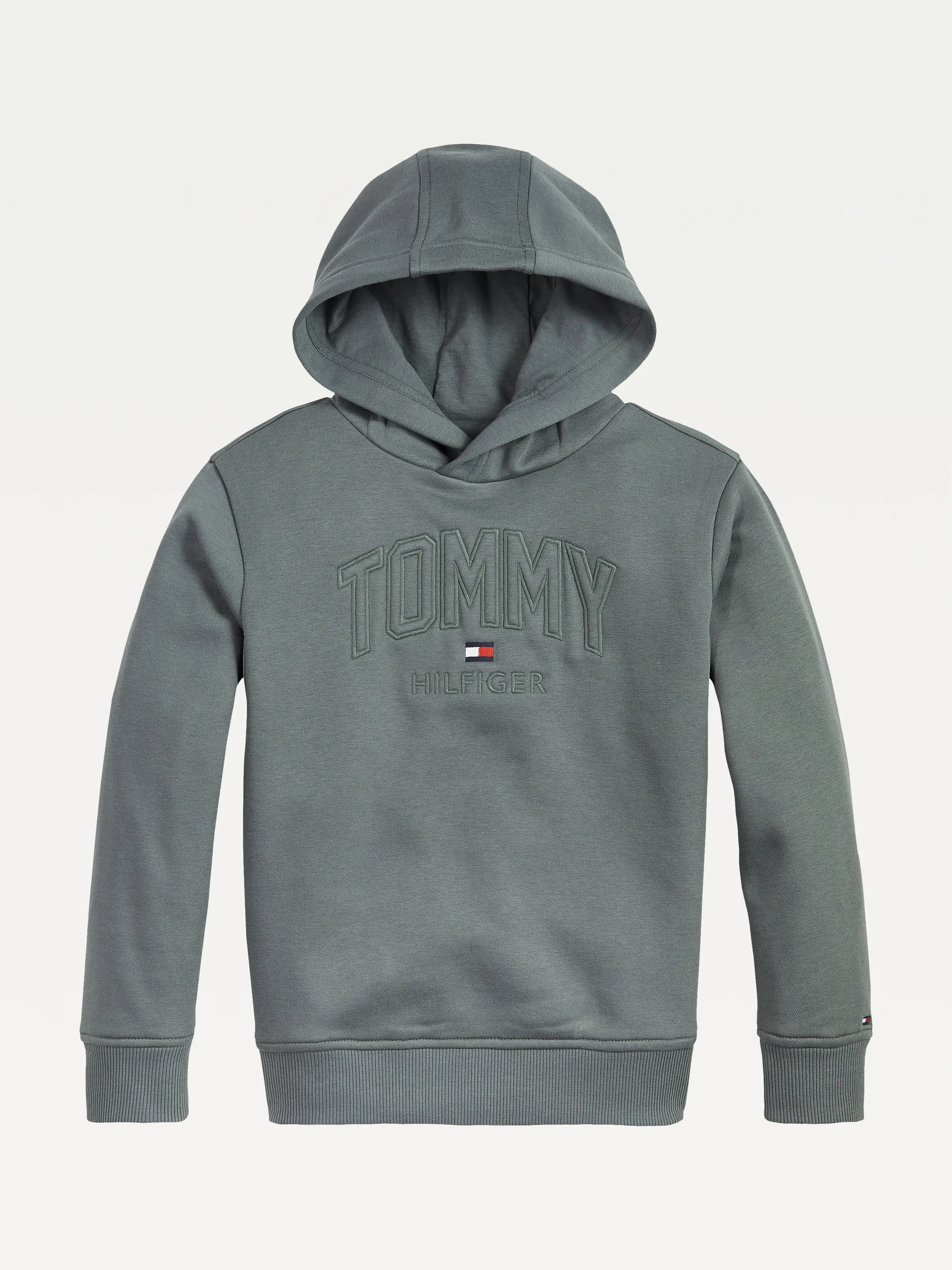 Boys 3-7 Logo Hoodie | Sweatshirts & Hoodies | Tommy Hilfiger