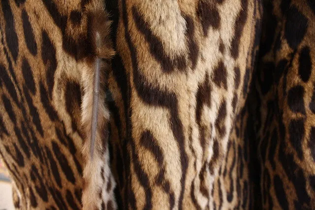 Rare Vintage 60's Genuine Cat Fur Coat